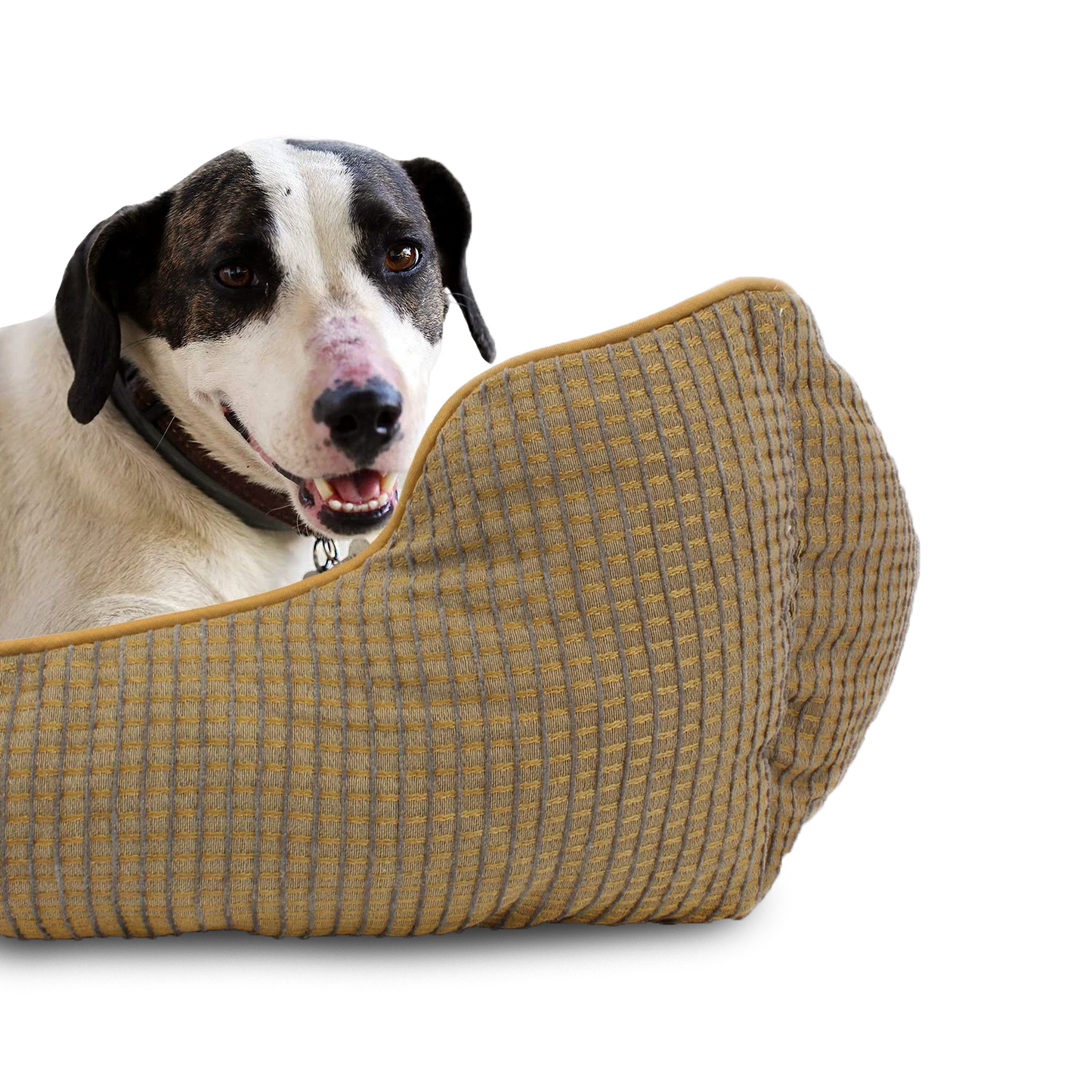 Bolstered Pet Bed