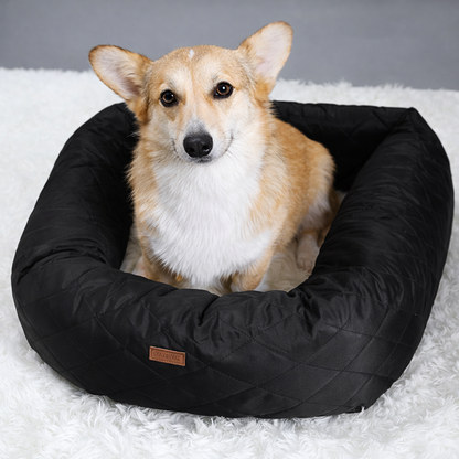 2-in-1 Comfort Car Seat & Bed