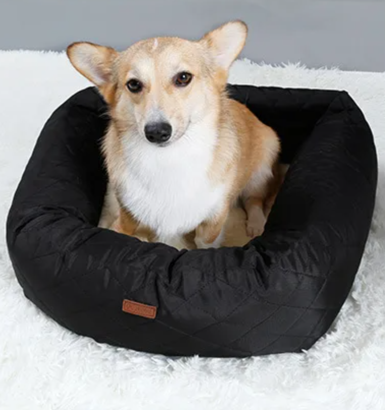 2-in-1 Comfort Car Seat & Bed