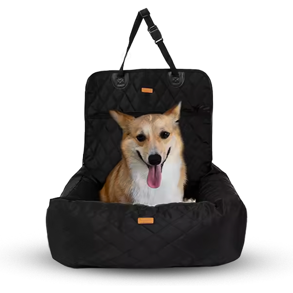 2-in-1 Comfort Car Seat & Bed