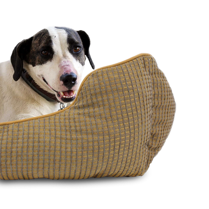 Bolstered Pet Bed
