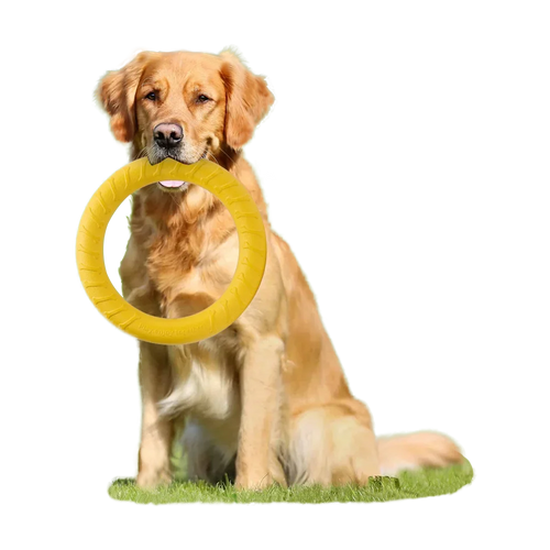 AeroFetch Dog Frisbee