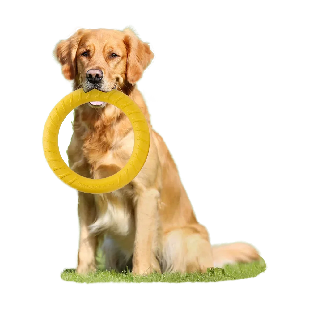 AeroFetch Dog Frisbee