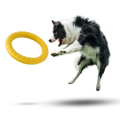 AeroFetch Dog Frisbee