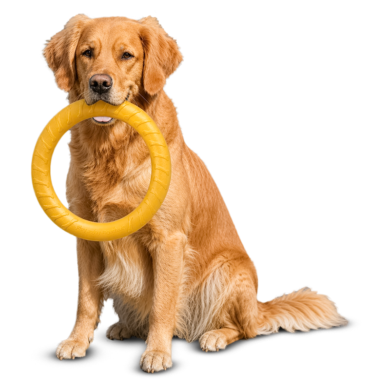 AeroFetch Dog Frisbee