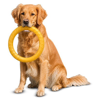 AeroFetch Dog Frisbee