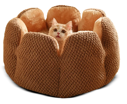 Comfy Cactus Pet Bed