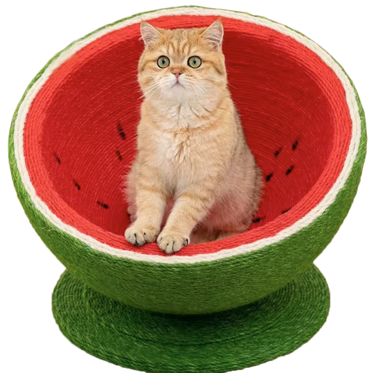 Pawtermelon Nest Cat Bed