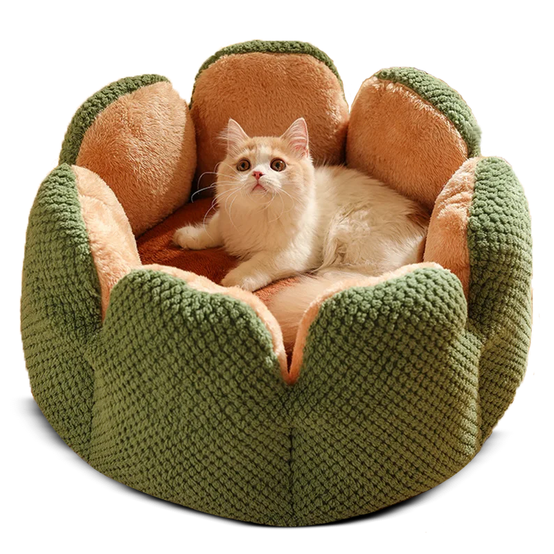 Comfy Cactus Pet Bed