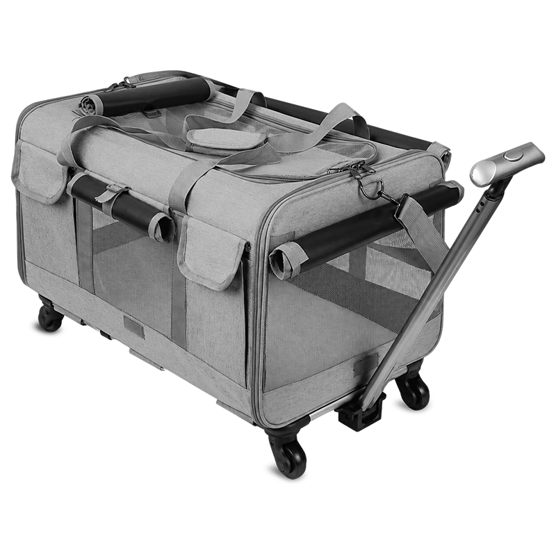 PawVoyage Pet Carrier