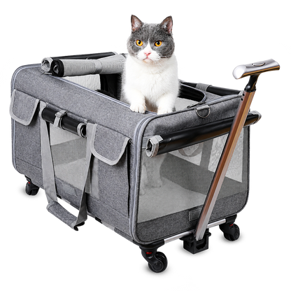 PawVoyage Pet Carrier
