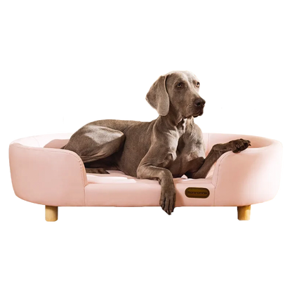 Pawchester Pet Sofa