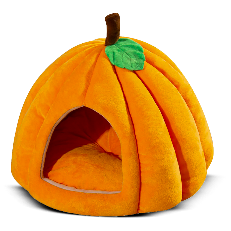Pumpkin Pet Cave