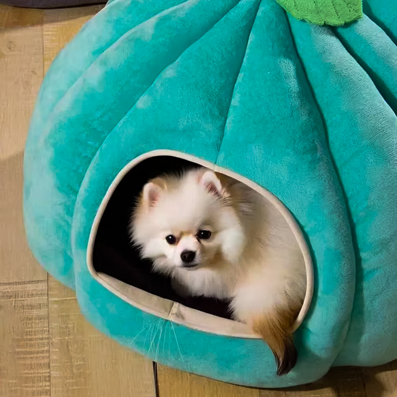 Pumpkin Pet Cave