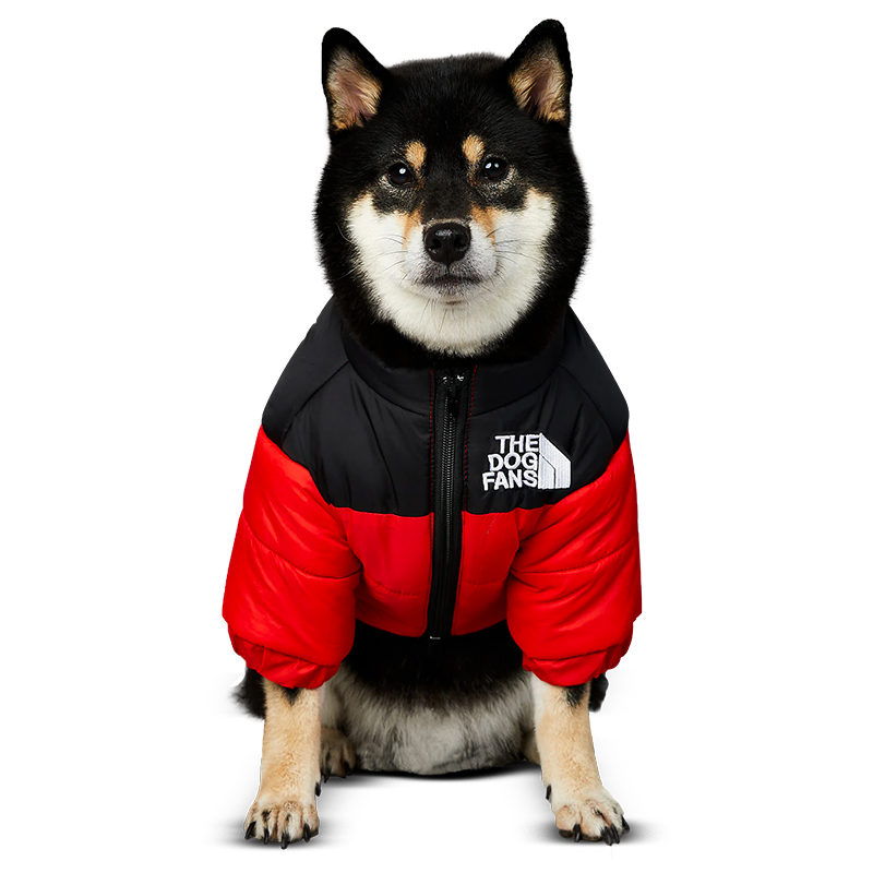 Pet Puffer Jacket