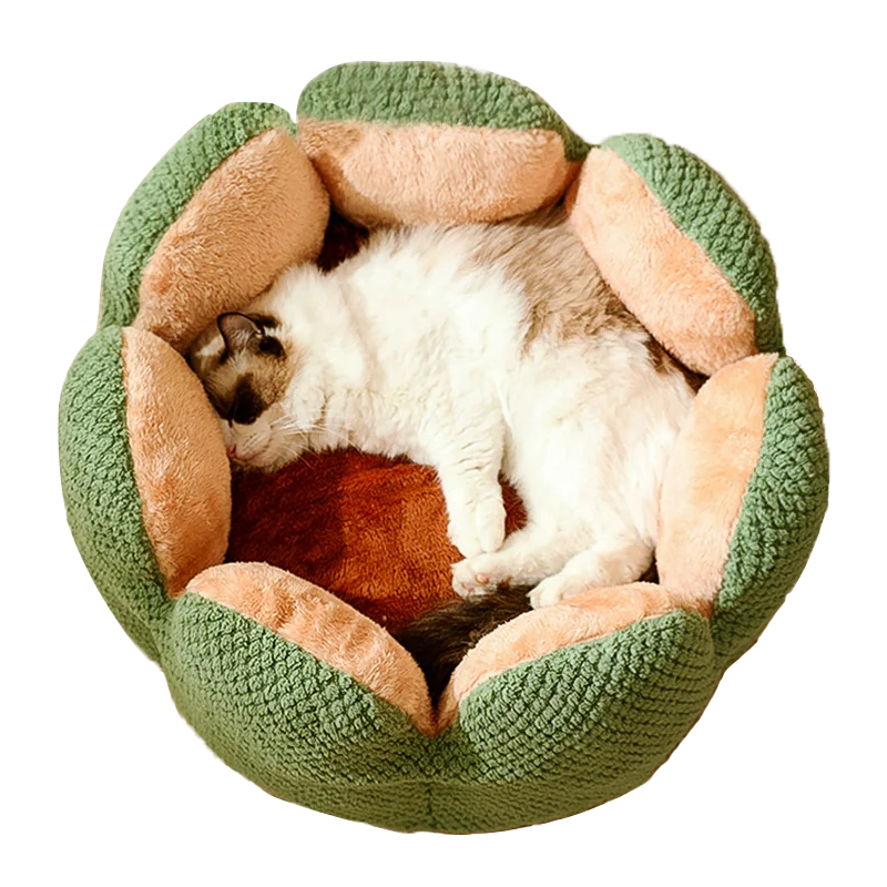 Comfy Cactus Pet Bed