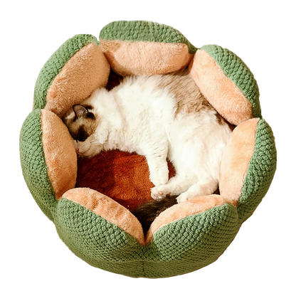 Comfy Cactus Pet Bed