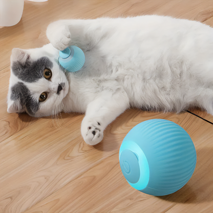 SmartChase Auto-Rolling Ball