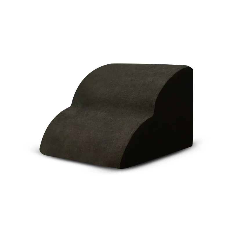 Pet-Friendly Climbing Stairs