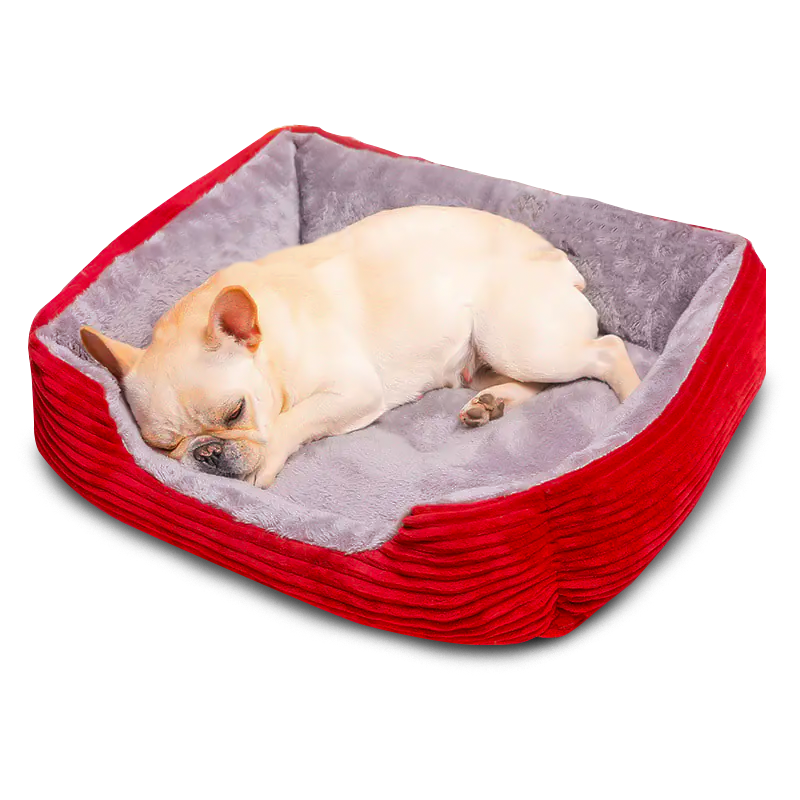 Teddy Plush Dog Bed