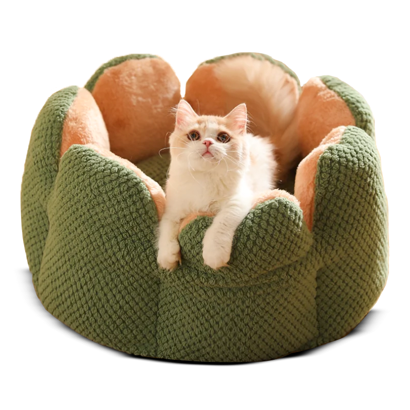 Comfy Cactus Pet Bed