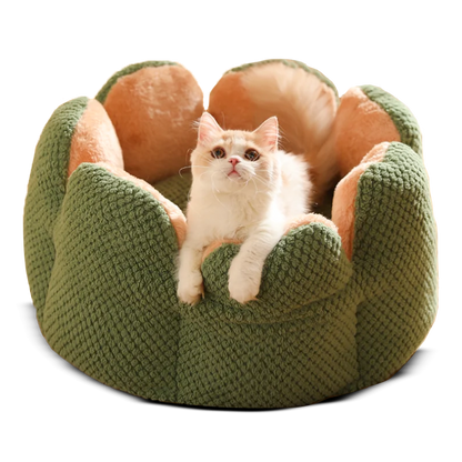 Comfy Cactus Pet Bed