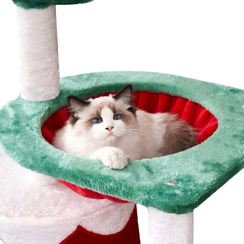 Christmas Cat Climbing Tree