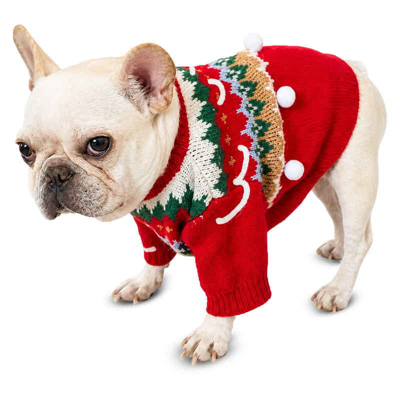 Cozy Pet Christmas Sweater