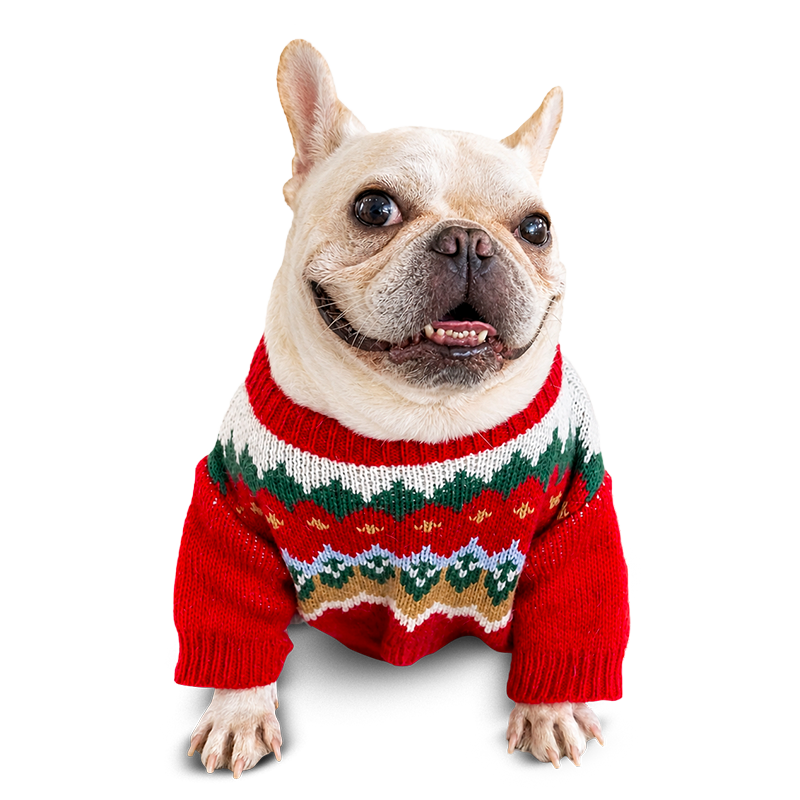Cozy Pet Christmas Sweater