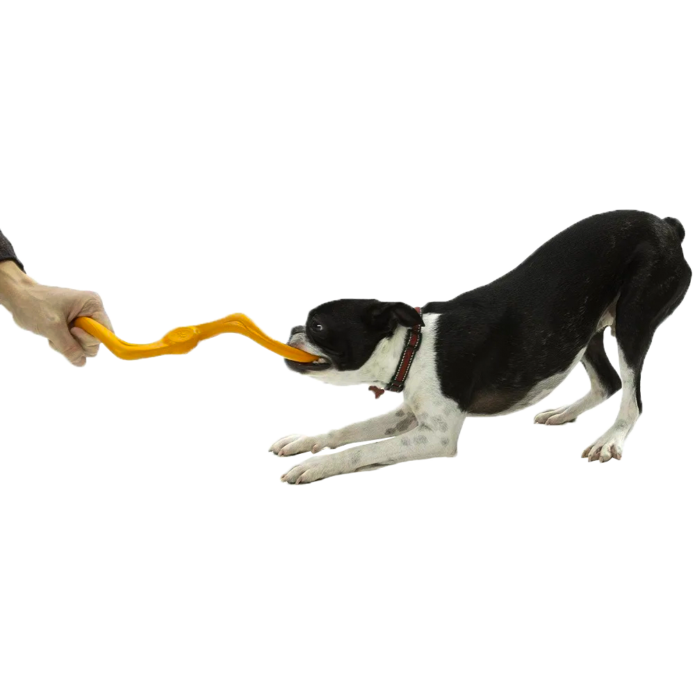Zogoflex Dog Toy