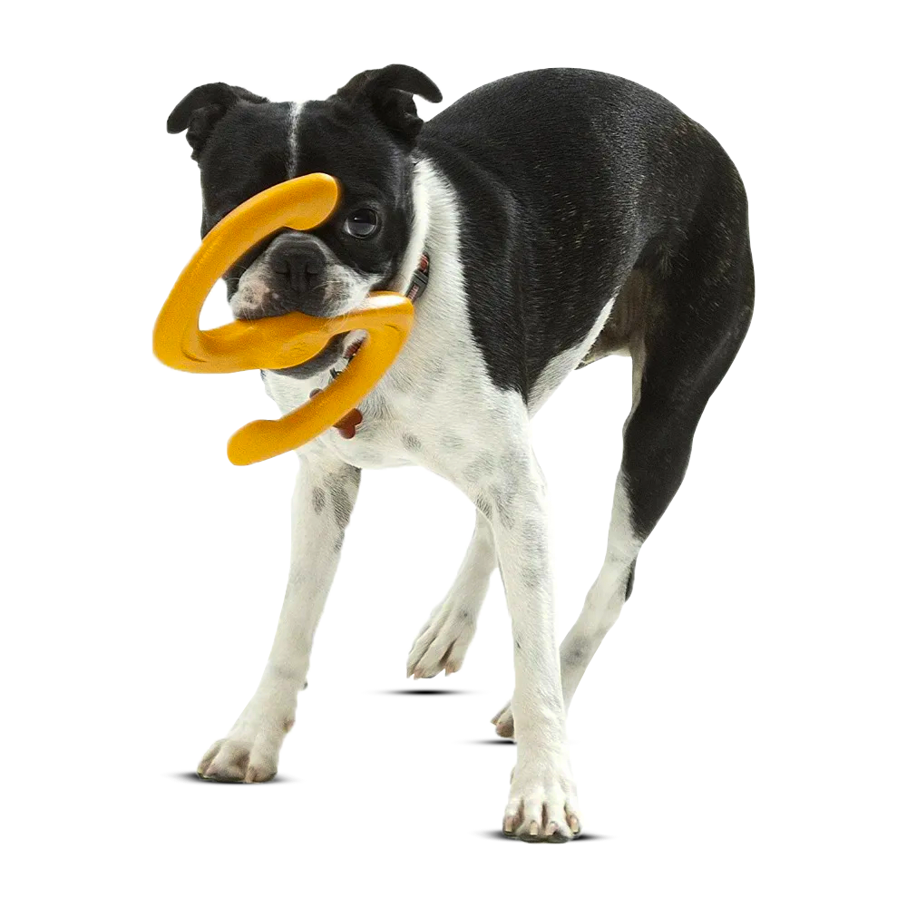 Zogoflex Dog Toy