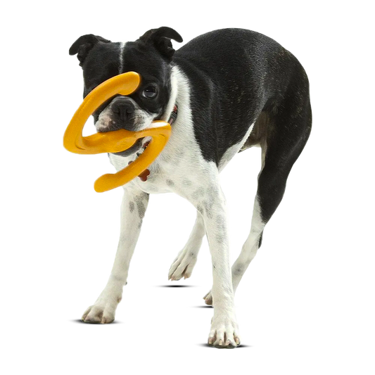 Zogoflex Dog Toy