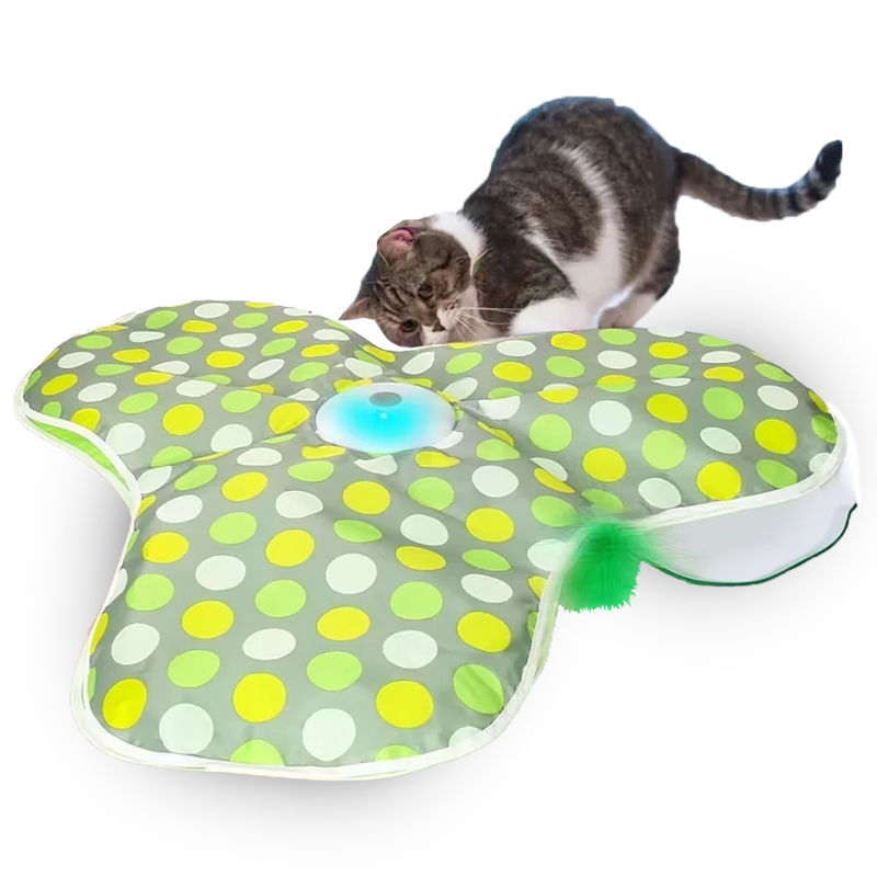 Feather Frenzy Cat Toy